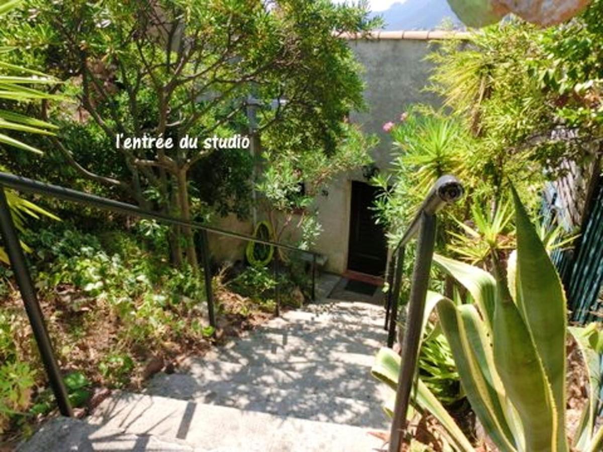 Appartement Studio a Theoule sur Mer a 400 m de la plage avec vue sur la mer terrasse amenagee et wifi Extérieur photo